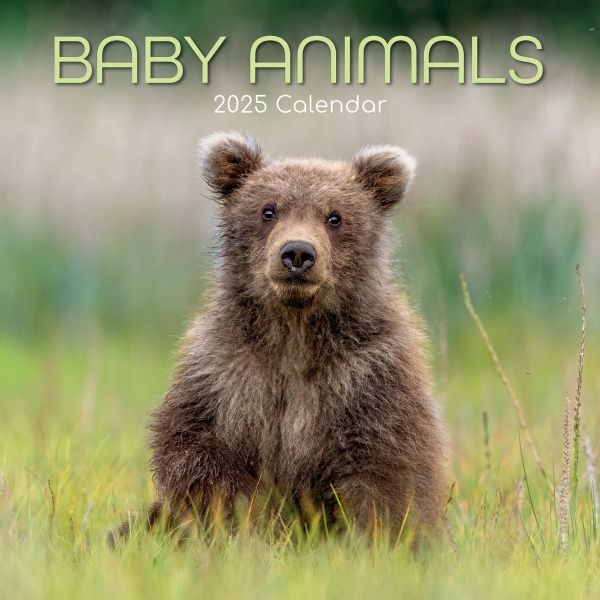 Baby Animals 16-Month Square Wall Calendar 2025
