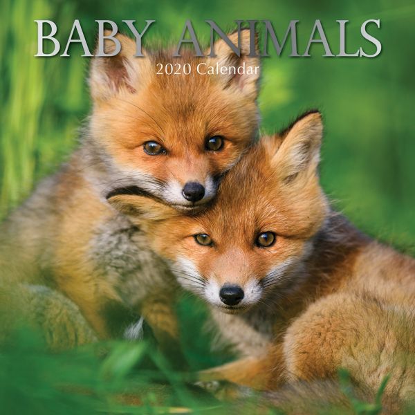BABY ANIMALS 2020. /стенен календар/