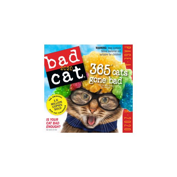 BAD CAT PAGE-A-DAY CALENDAR 2020