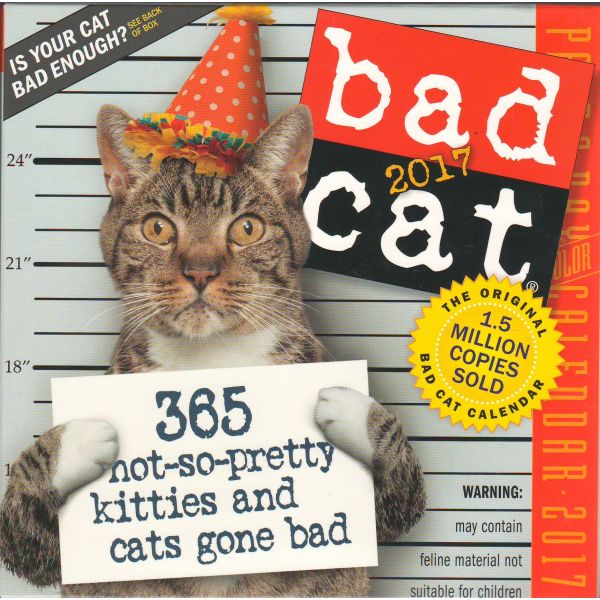 BAD CAT PAGE-A-DAY CALENDAR 2017
