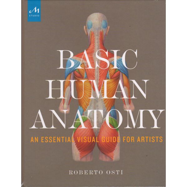 BASIC HUMAN ANATOMY: An Essential Visual Guide for Artists