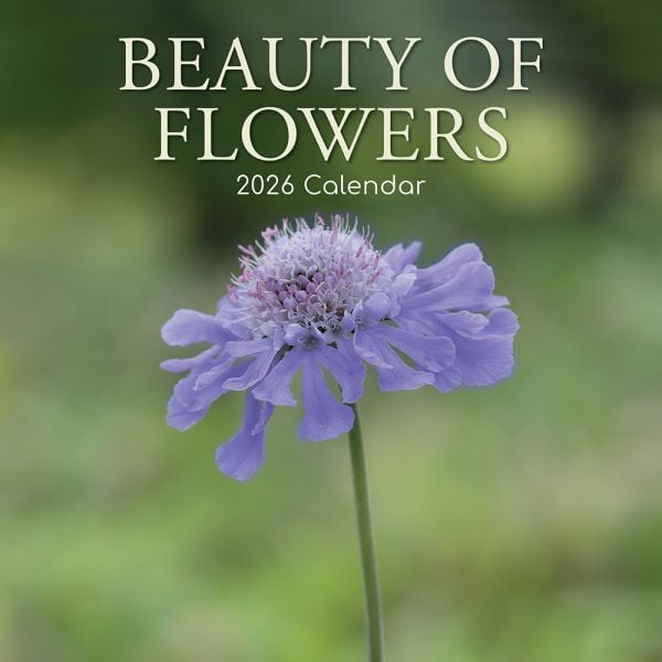 Beauty of Flowers. 16-Month Square Wall Calendar 2026