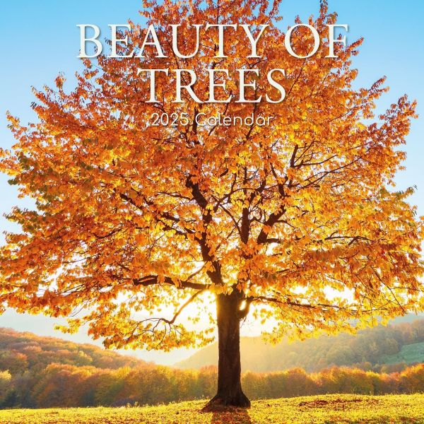 Beauty of Trees 16-Month Square Wall Calendar 2025