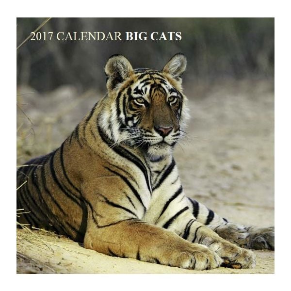 BIG CATS 2017. /стенен календар/