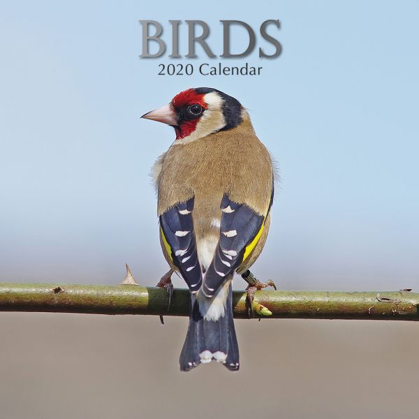 BIRDS 2020. /стенен календар/
