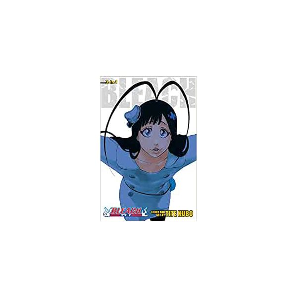 BLEACH (3-in-1 Edition), Vol. 22
