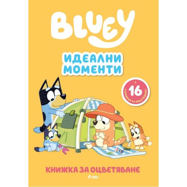 Блуи: Идеални моменти (книжка за оцветяване)