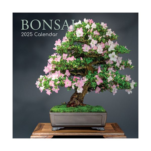 Bonsai 16-Month Square Wall Calendar 2025