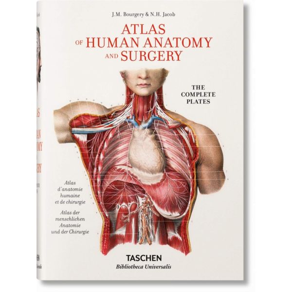 BOURGERY. Atlas of Human Anatomy and Surgery