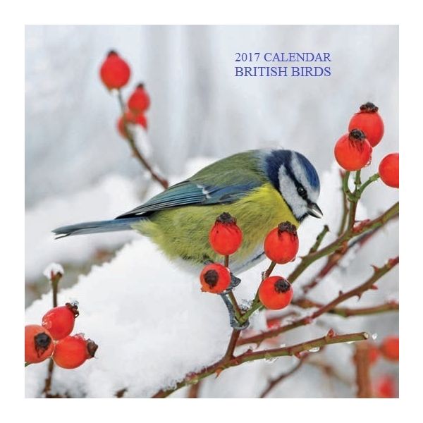 BRITISH BIRDS 2017. /стенен календар/