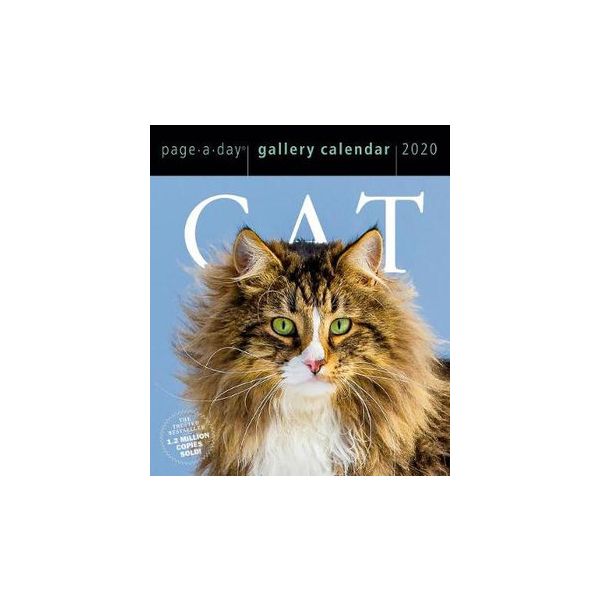 CAT PAGE-A-DAY GALLERY CALENDAR 2020