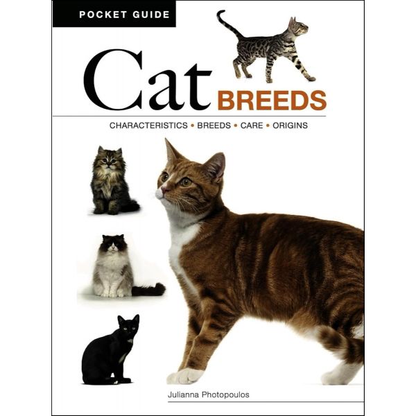 Cat Breeds (mini edition)