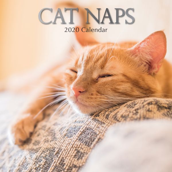 CAT NAPS 2020. /стенен календар/