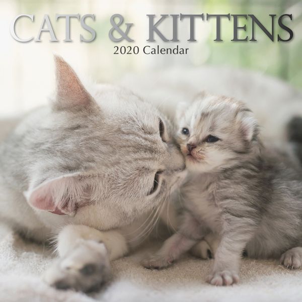 CATS & KITTENS 2020. /стенен календар/