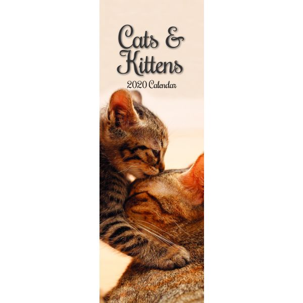CATS & KITTENS 2020. /Slimline Calendar/