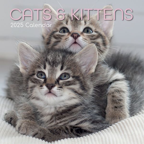 Cats & Kittens 16-Month Square Wall Calendar 2025