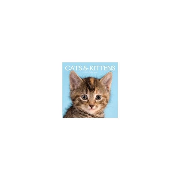 CATS & KITTENS 2013. /стенен календар/