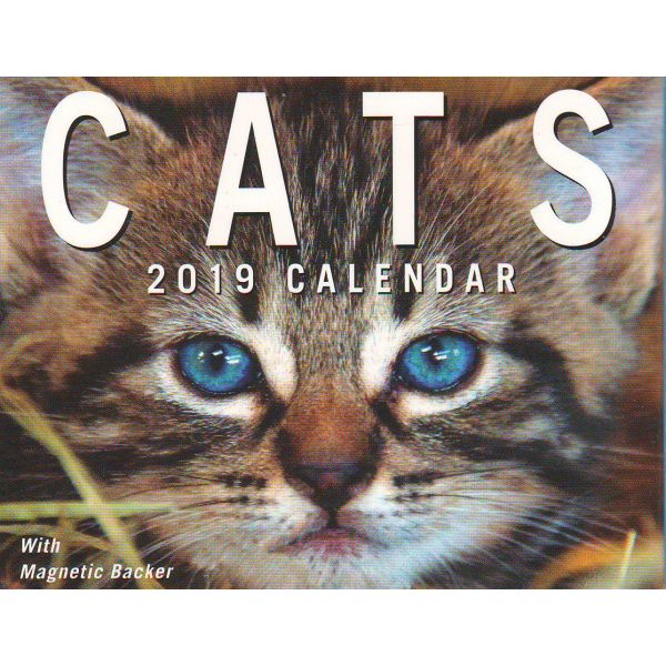 CATS MINI DAY-TO-DAY CALENDAR 2019