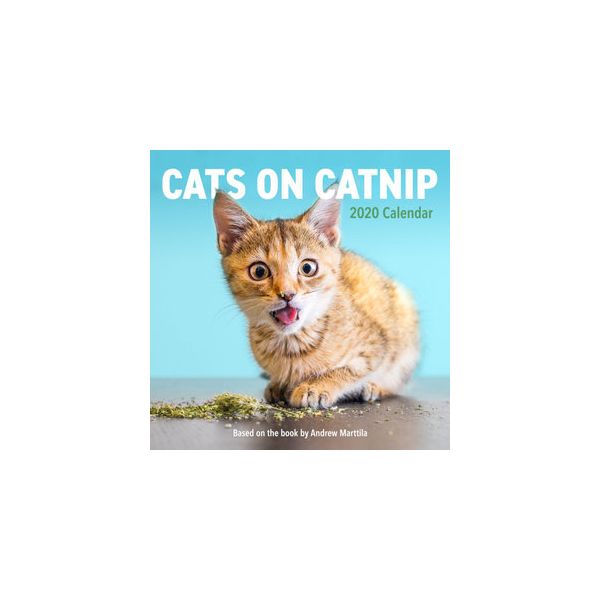 CATS ON CATNIP CALENDAR 2020. /стенен календар/