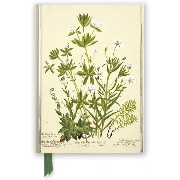 CHARLOTTE COWAN PEARSON: Stitchworts, Woodruff and Pepperwort - Foiled Journal