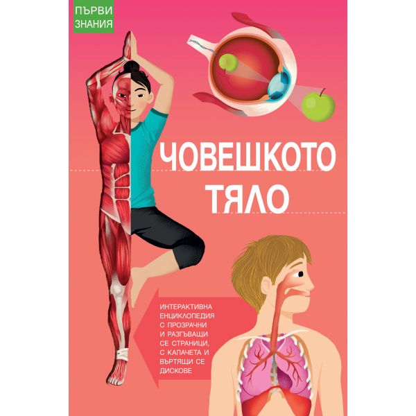 Човешкото тяло. “Първи знания“