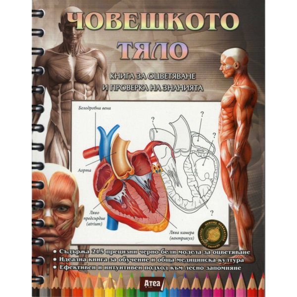Човешкото тяло. Книга за оцветяване и проверка на знанията