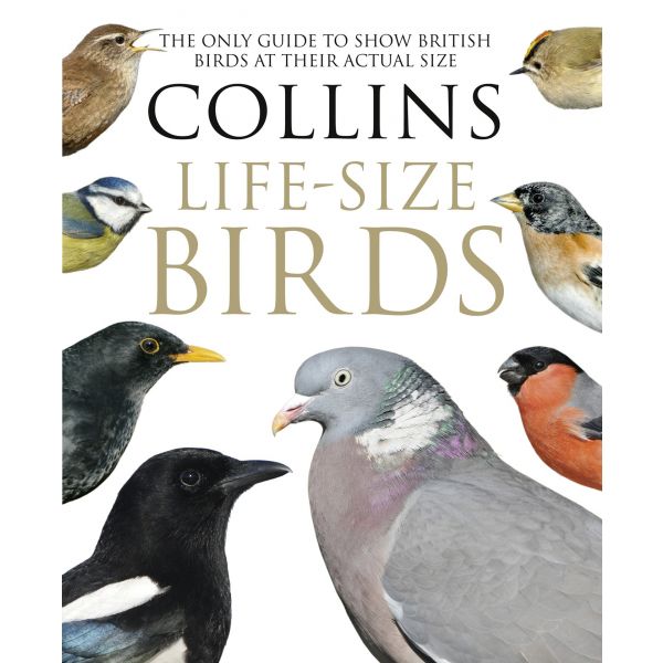 COLLINS LIFE-SIZED BIRDS: The Only Guide to Show British Birds at Their Actual Size