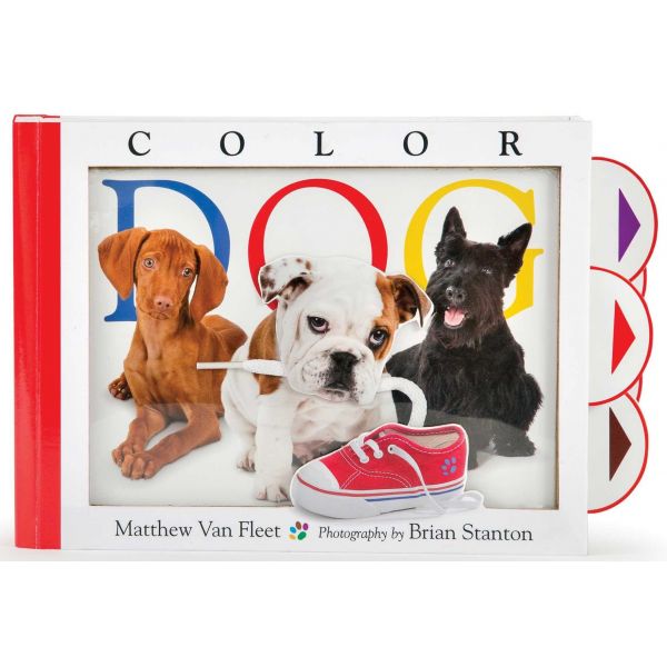 COLOR DOG