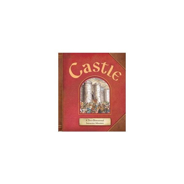 CASTLE: A Three-Dimensional Interactive Adventur