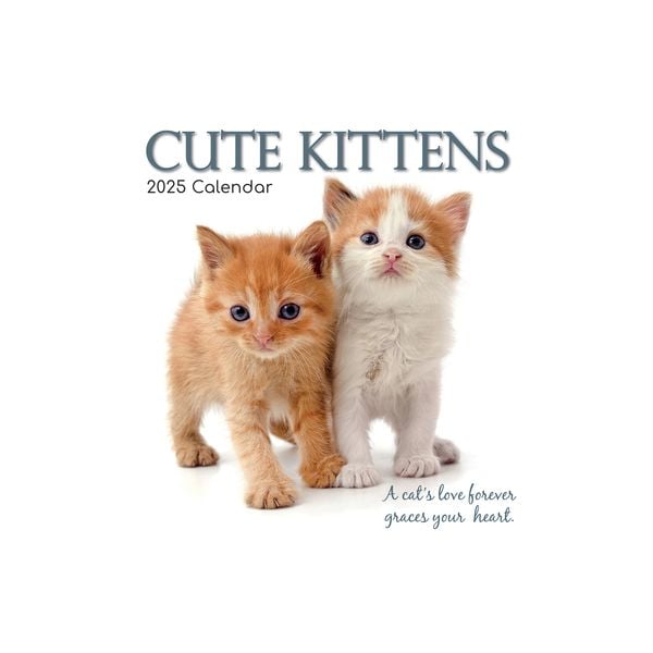 Cute Kittens 16-Month Square Wall Calendar 2025