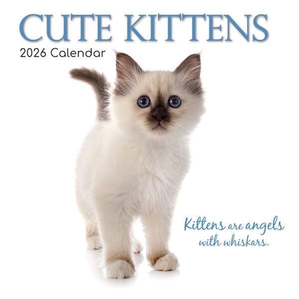 Cute Kittens. 16-Month Square Wall Calendar 2026