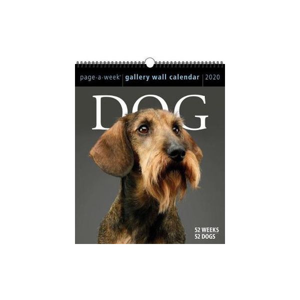 DOG PAGE-A-WEEK GALLERY CALENDAR 2020. /стенен календар/