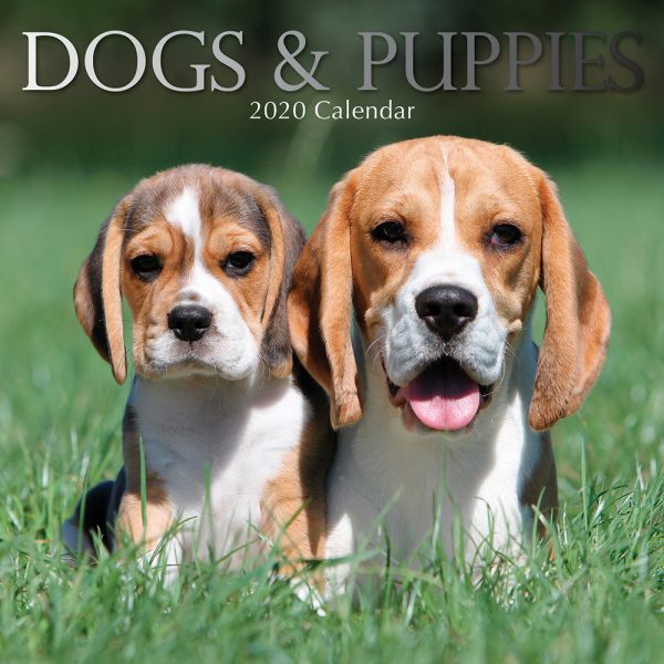 DOGS & PUPPIES 2020. /стенен календар/