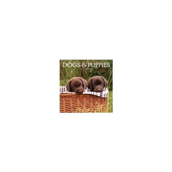DOGS & PUPPIES 2013. /стенен календар/