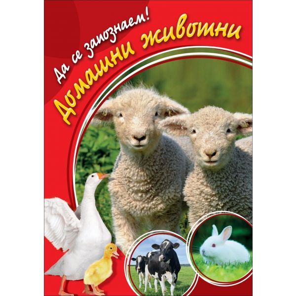 Домашни животни. “Да се запознаем!“