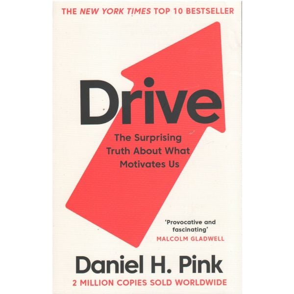 DRIVE: The Surprising Truth About What Motivates Us