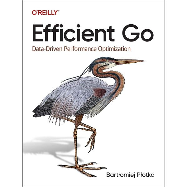 EFFICIENT GO: Data-Driven Performance Optimization