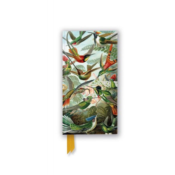 Ernst Haeckel: Hummingbirds (Foiled Slimline Journal)