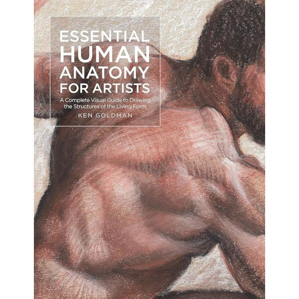 ESSENTIAL HUMAN ANATOMY FOR ARTISTS