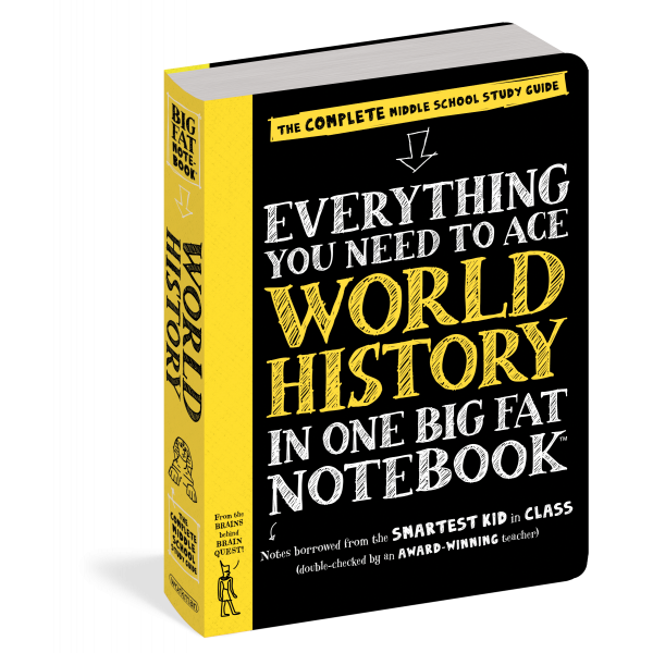 EVERYTHING YOU NEED TO ACE: World History. “Big Fat Notebooks“
