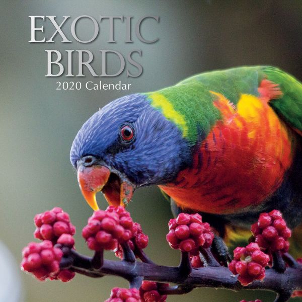 EXOTIC BIRDS 2020. /стенен календар/