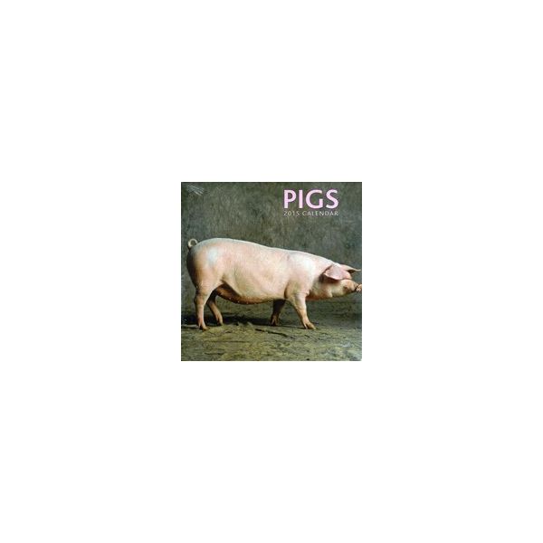 PIGS 2015. /стенен календар/