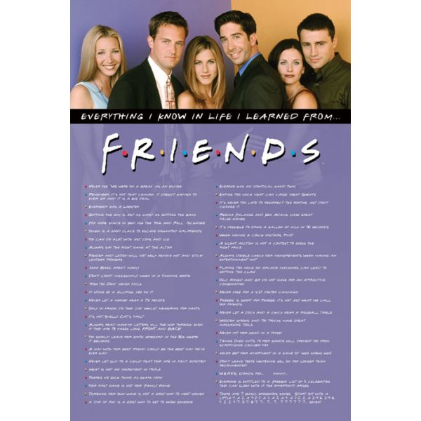 FRIENDS (EVERYTHING I KNOW) MAXI POSTER