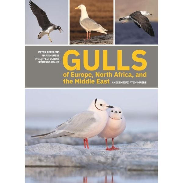 Gulls of Europe, North Africa, and the Middle East