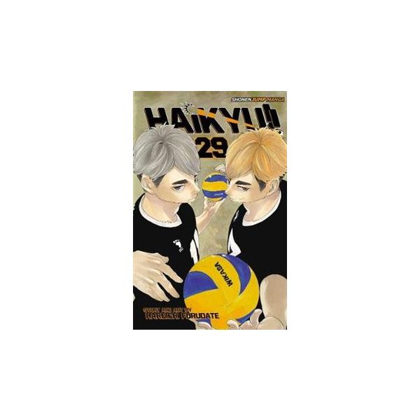 HAIKYU!!, Volume 29