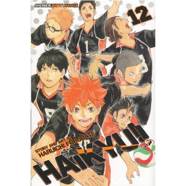 HAIKYU!!, Volume 12