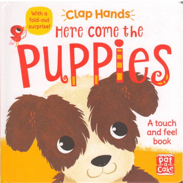 HERE COME THE PUPPIES. “Clap Hands“