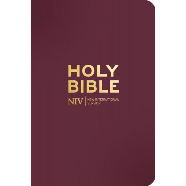 Holy Bible (New International Version)