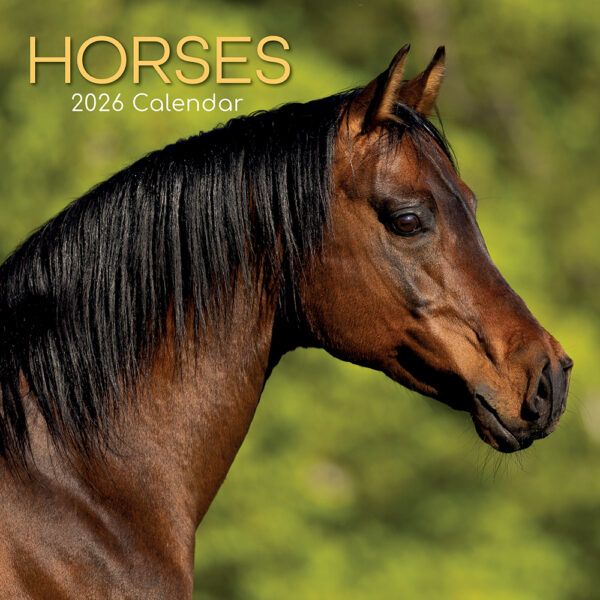 Horses. 16-Month Square Wall Calendar 2026
