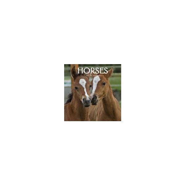 HORSES 2013. /стенен календар/